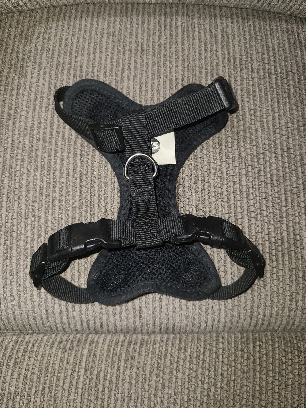 X-small Dog Items - Picture 2 of 16